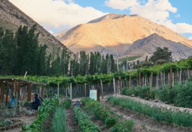 Otras experiencias 4