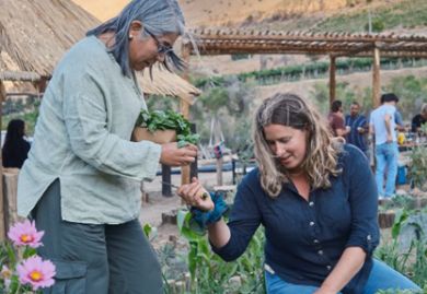 Otras experiencias 5