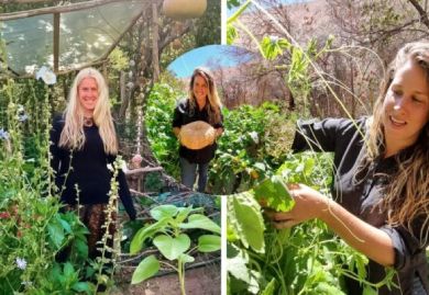 Otras experiencias 8