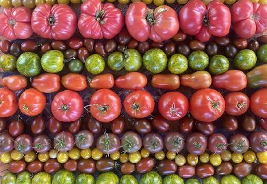 otras experiencias 1